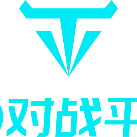 T9对战平台 